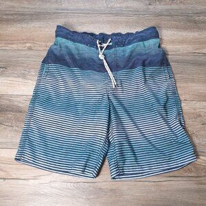 Goodfellow Co Mens Striped Swim Trunks Drawstring Elastic Waist 32 Inch Shorts
